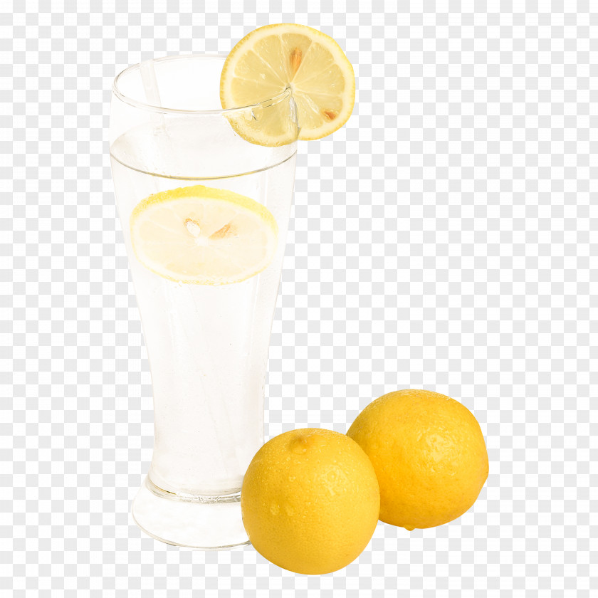 In Kind,Kumquat Lemon Juice,Single Page Harvey Wallbanger Juice Orange Drink PNG