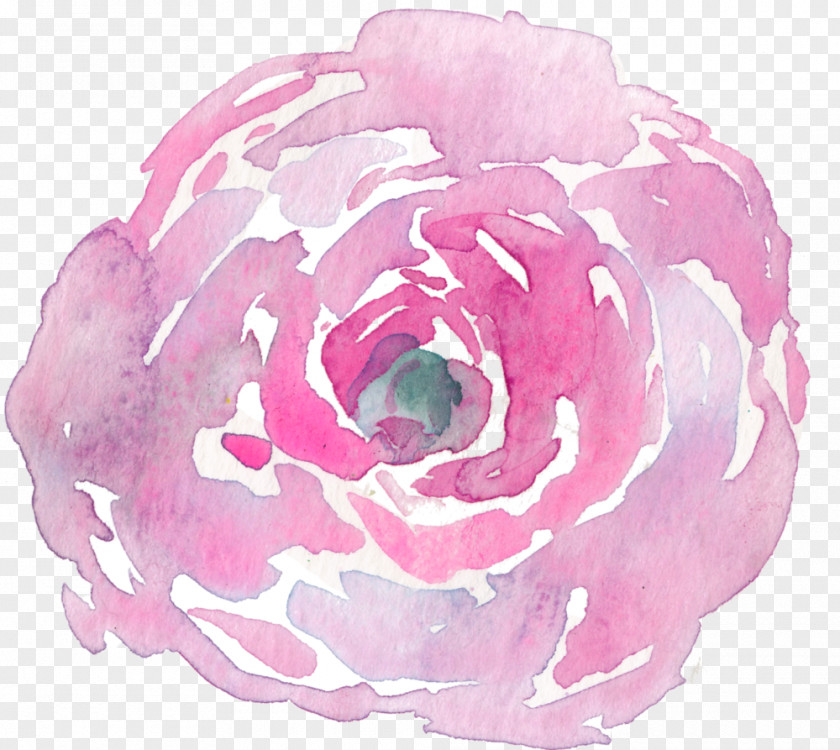 Magenta Rose Order Pink Flowers Background PNG