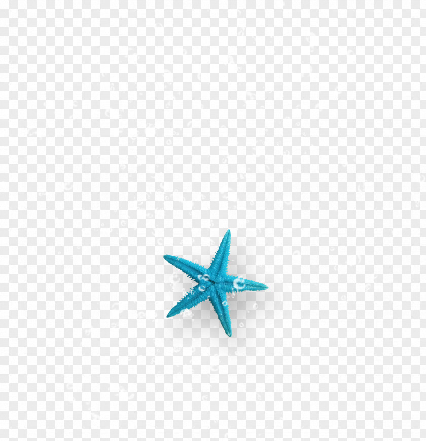 Starfish Bubbles Turquoise Computer Wallpaper PNG