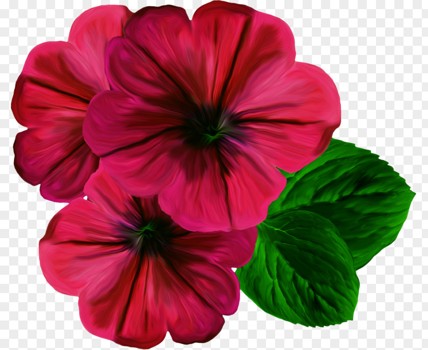 Flower Color Photography Clip Art PNG