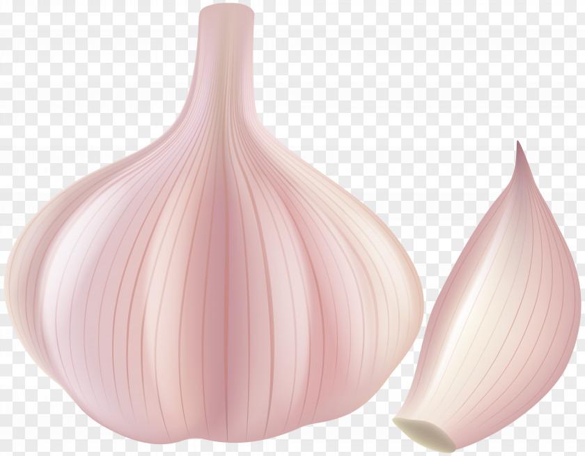 Garlic Clip Art Petal PNG