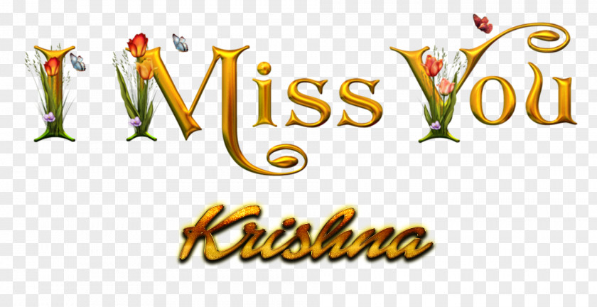 Krishna Image Desktop Wallpaper Photograph Name PNG