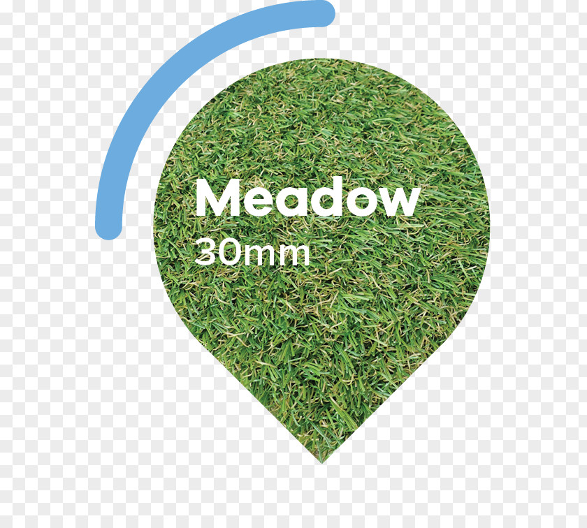Medow Lawn Artificial Turf Garden Meadow Thatch PNG