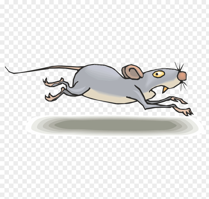 Rat Clip Art Mus Cartoon Drawing PNG