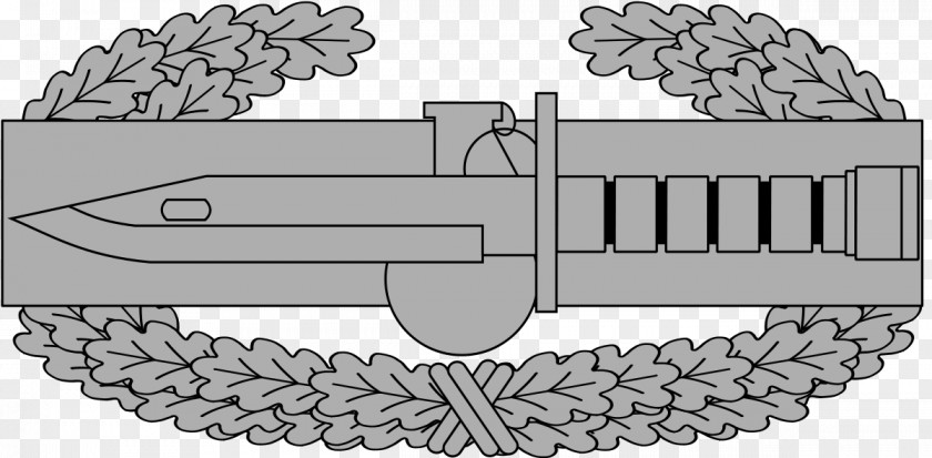 Skill Certificate Combat Action Badge Infantryman Ribbon Expert PNG