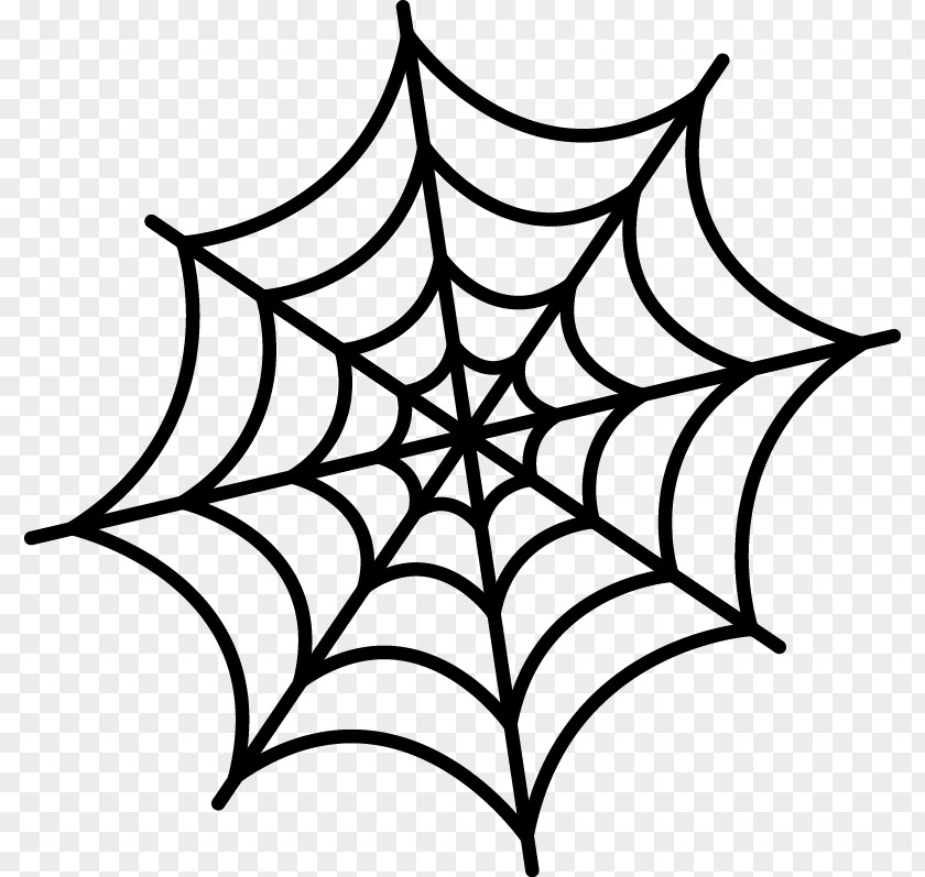 Spider Web Drawing Clip Art PNG