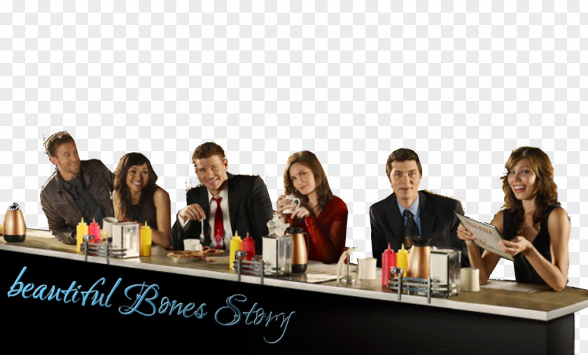 Beautiful Story Doctor Public Relations Drink Casting Bones PNG
