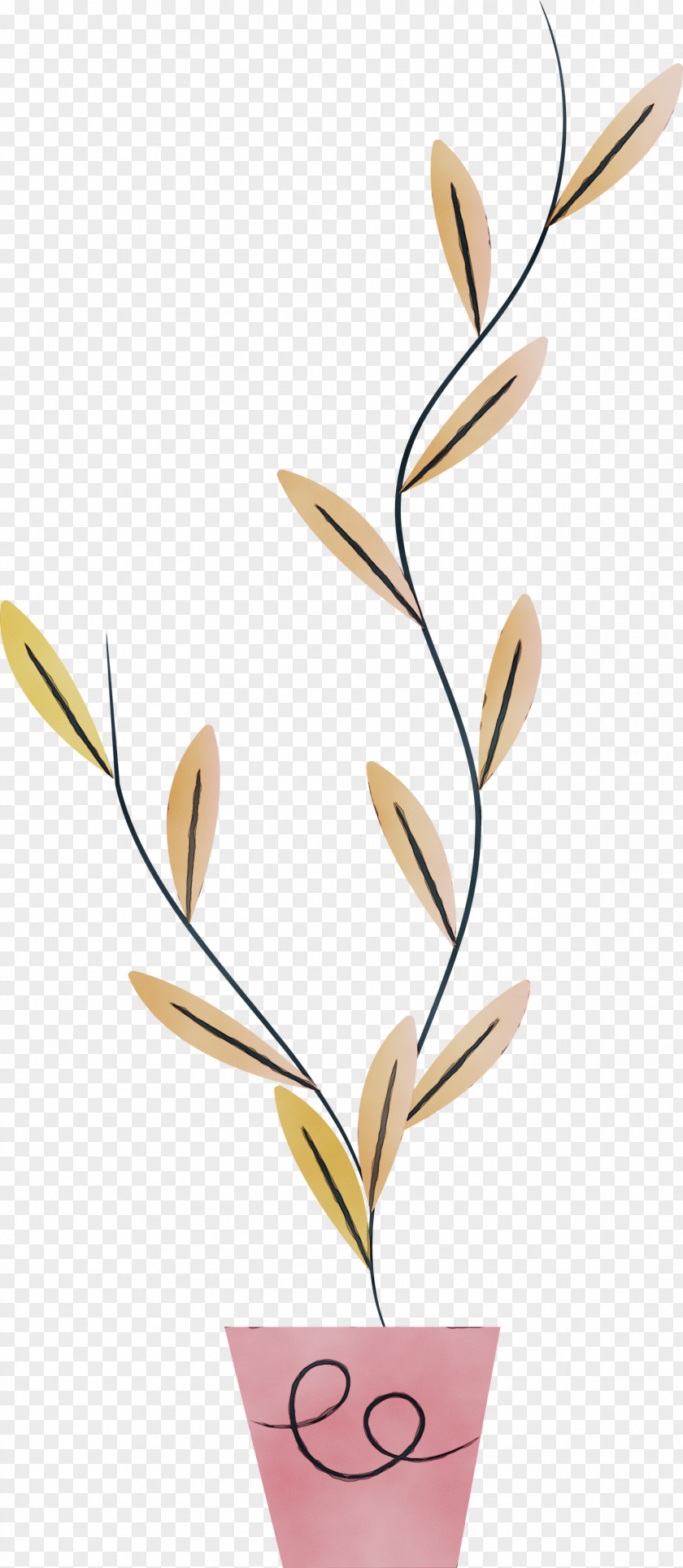 Flower Bouquet PNG