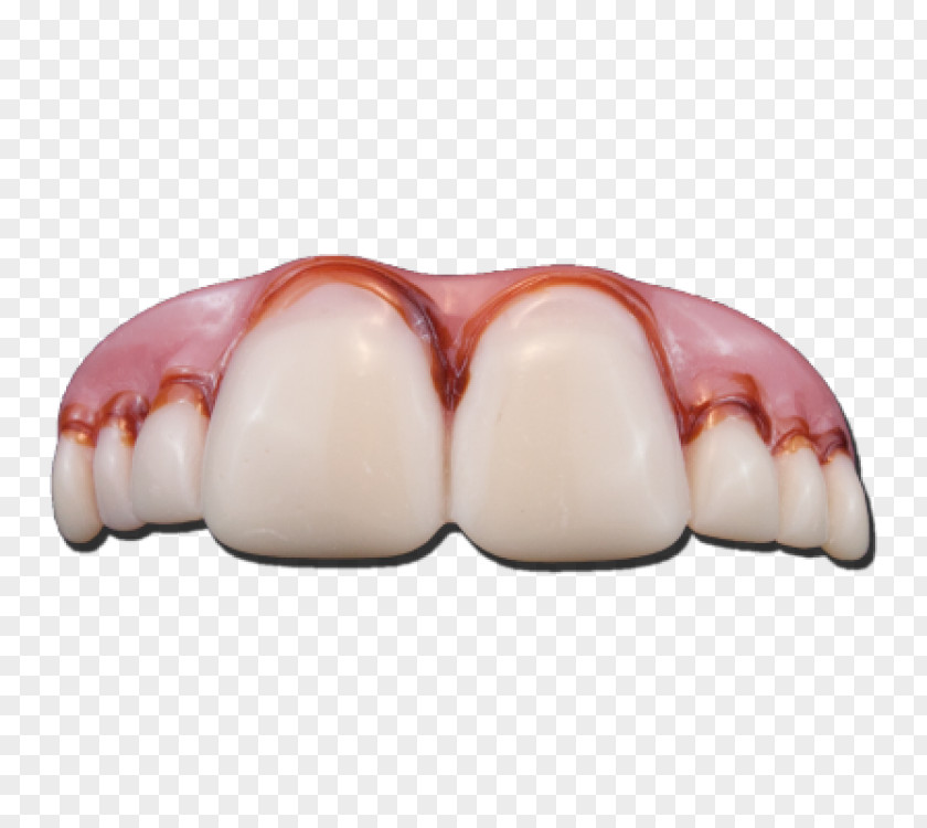 Human Tooth Dentures Fang Malocclusion PNG