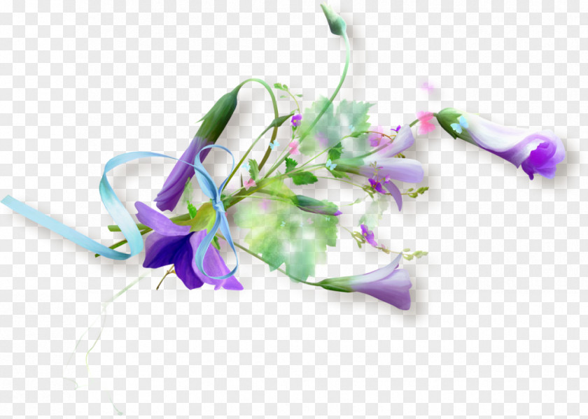 Persian New Year Flower Floral Design Petal PNG