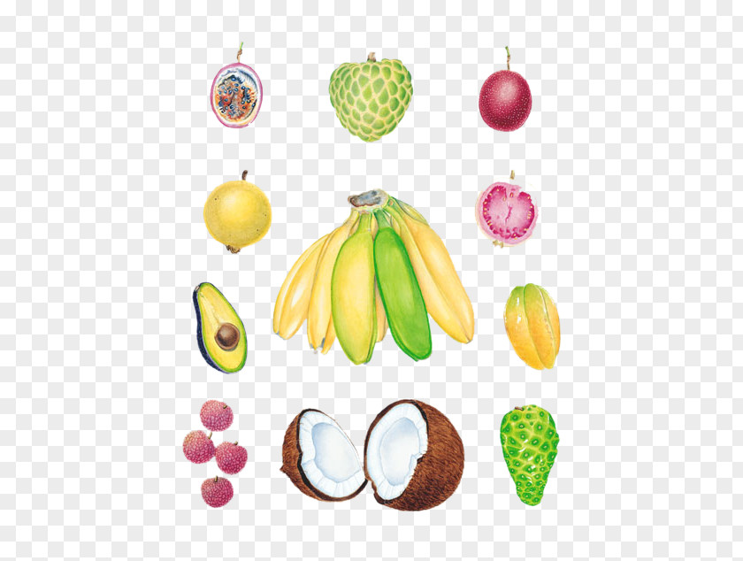 Avocado Banana Coconut Litchi Pomegranate Wallpapers Tropical Fruit Lychee PNG