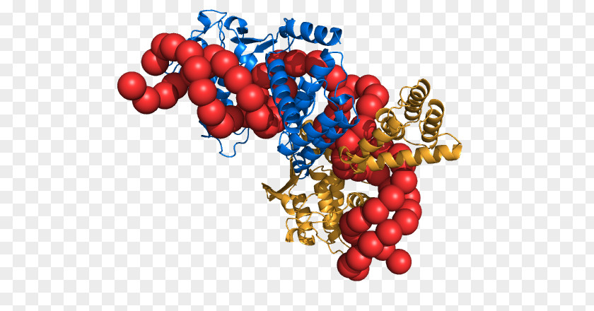 Coarse Grains Protein Research University Of California, San Francisco Alt Attribute DNA PNG