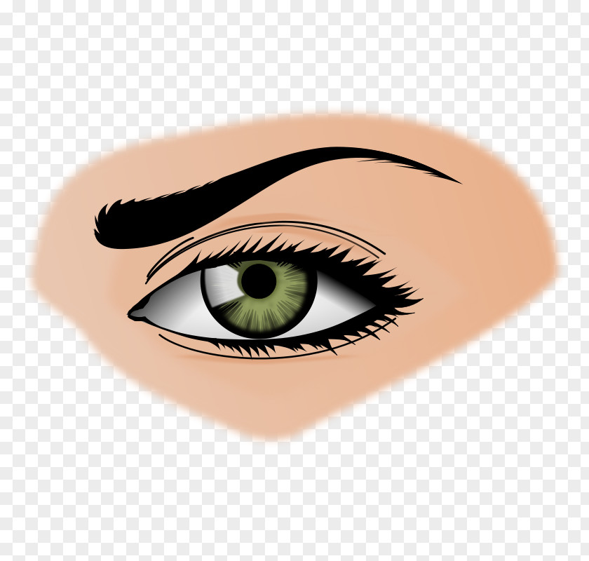 Eye Line Art Human Clip PNG