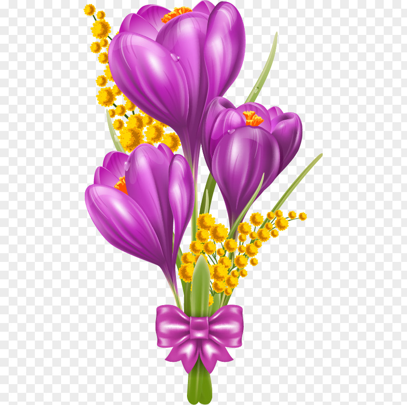 Flower Crocus Vernus Early Snow Clip Art PNG