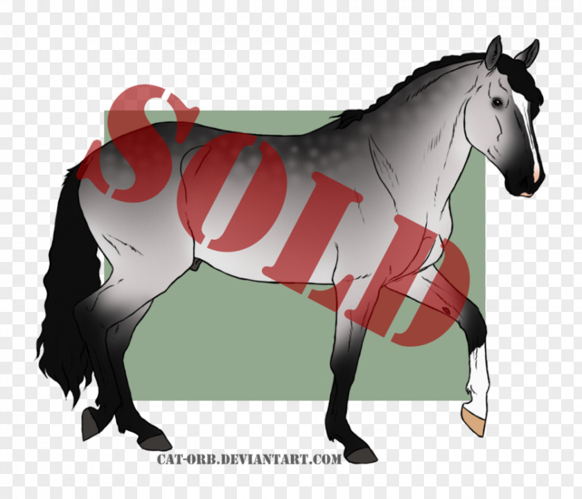 Mustang Stallion Mare Pony Rein PNG