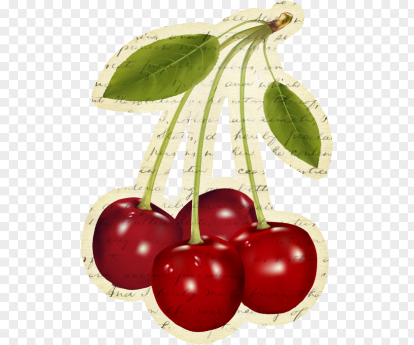 Car Air Fresheners Barbados Cherry Food Berry PNG