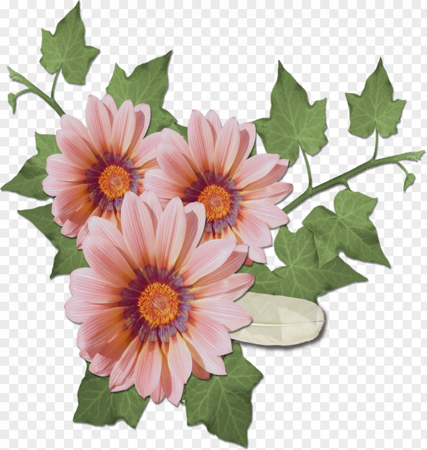 Floral Design Flower Clip Art PNG