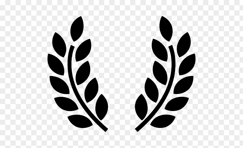 Olive Wreath Branch Greek Cuisine Symbol PNG