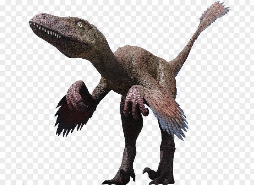 Playground Plan Velociraptor Deinonychus Utahraptor Tyrannosaurus Dinosaur PNG