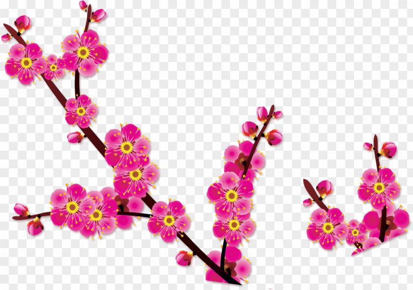 Plum Flower Download Poster Blossom PNG