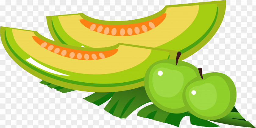 Summer Fruit Melon Cartoon PNG
