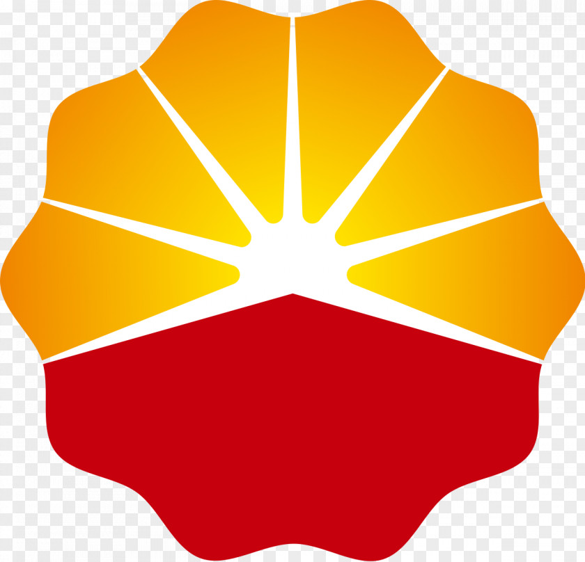 Upload PetroChina NYSE:PTR Logo China National Petroleum Corporation PNG