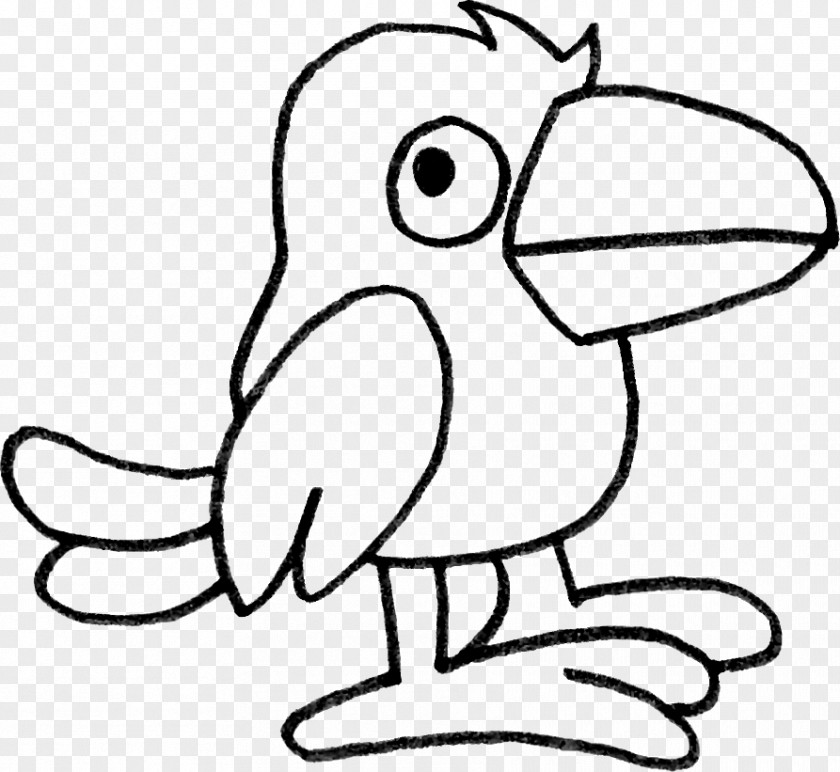 Bird Beak Drawing Line Art Clip PNG
