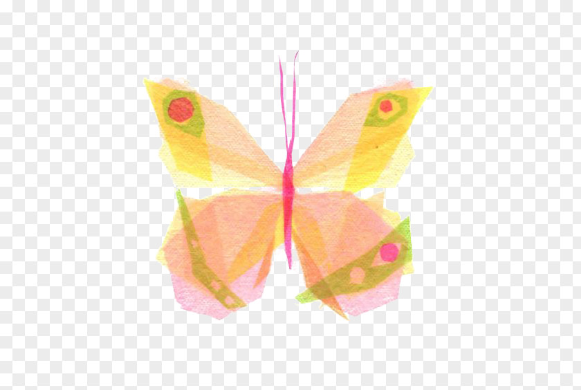 Butterfly Paper Insect Drawing Dryas Iulia PNG