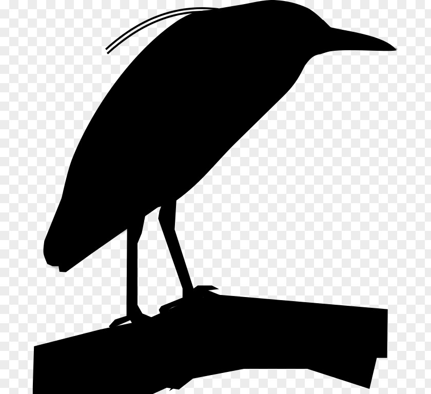 Clip Art Beak Fauna Silhouette PNG