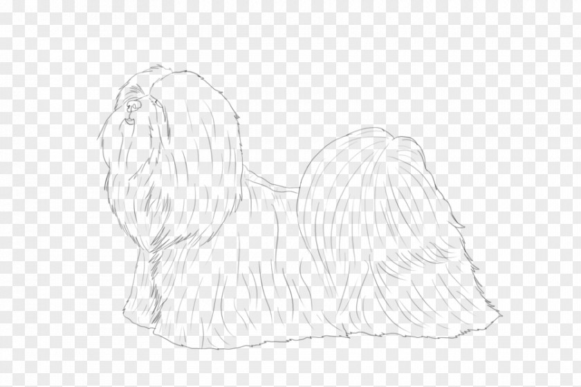 Lhasa Apso Dog Paw Drawing Sketch PNG