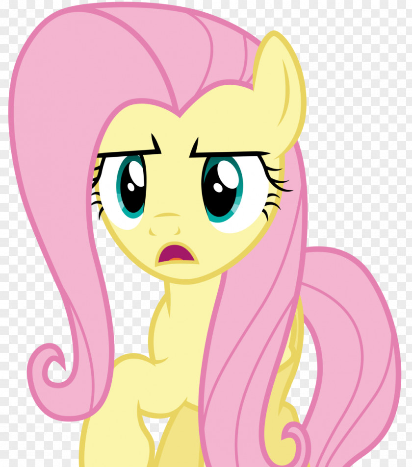 My Little Pony Fluttershy Rarity Pinkie Pie Twilight Sparkle Rainbow Dash PNG