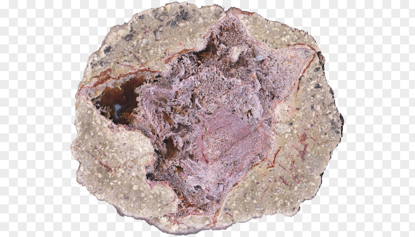 Opal Geode Mineral Igneous Rock Thunderegg Sales PNG