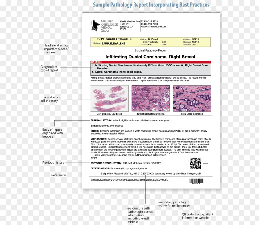 Pathology Lab Surgical Surgery Digital Biopsy PNG