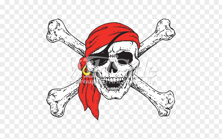 Skull And Crossbones Jolly Roger Piracy Human Symbolism PNG