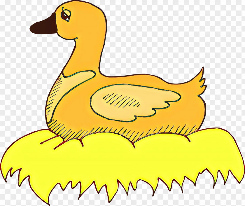 Bird Yellow Ducks, Geese And Swans Duck Beak PNG