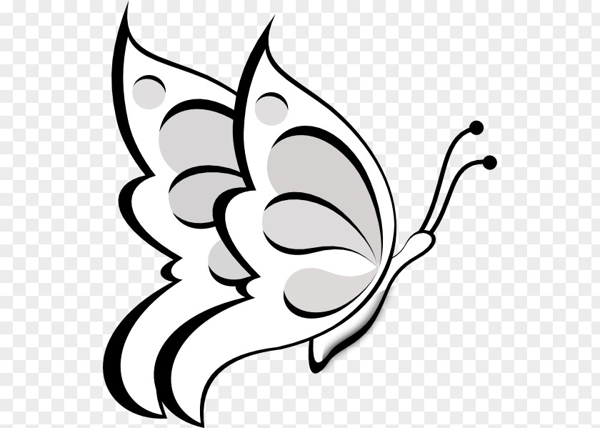 Butterfly Outlines Papillon Dog Free Content Clip Art PNG