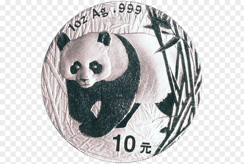 Coin Giant Panda Fauna PNG