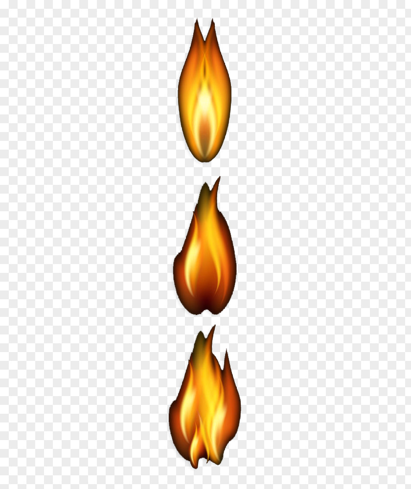 Flames Flame Icon PNG