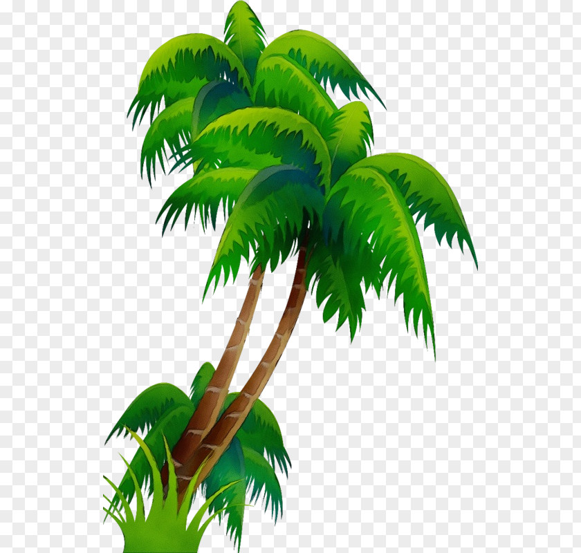 Flower Palm Tree PNG