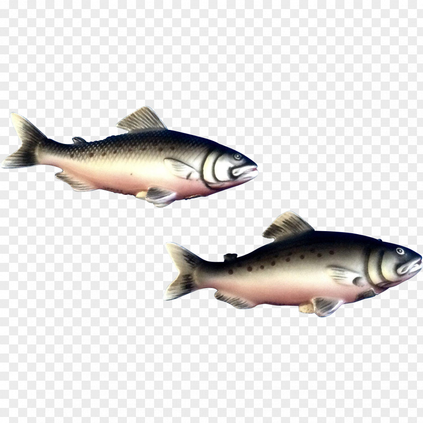 Trout Herring Oily Fish Salt PNG