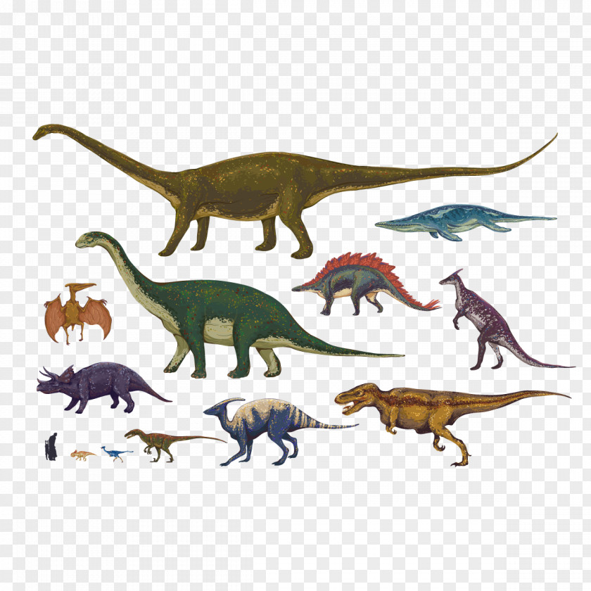 Vector Dinosaurs Collection Dinosaur Download Royalty-free Illustration PNG