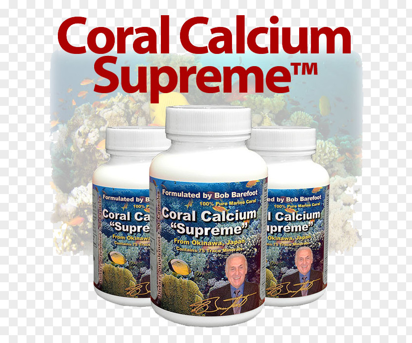 Coral Food Dietary Supplement Calcium Organic Products PNG
