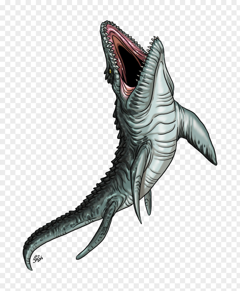 Dinosaur Tylosaurus Plesiosauria Spinosaurus Jurassic PNG