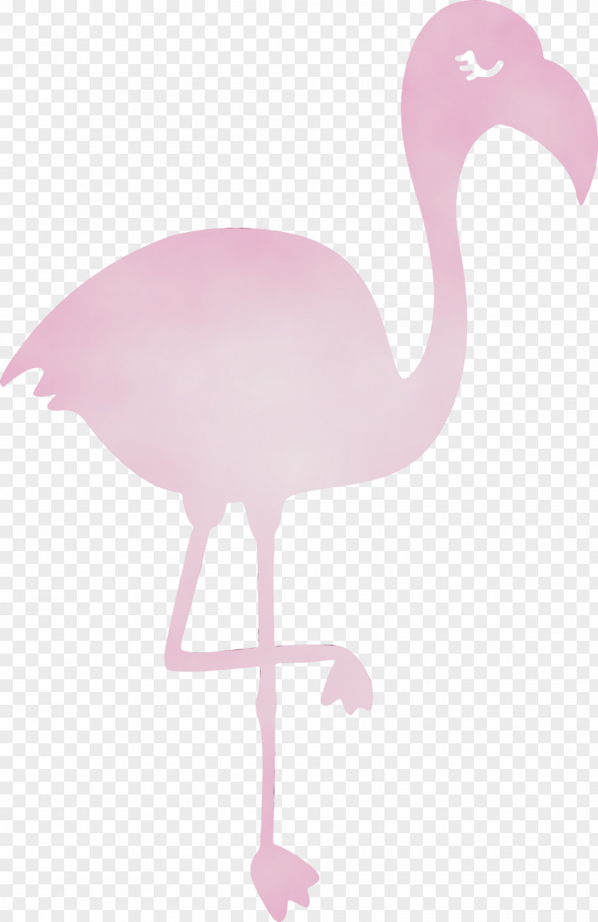 Flamingo M Pink Beak PNG