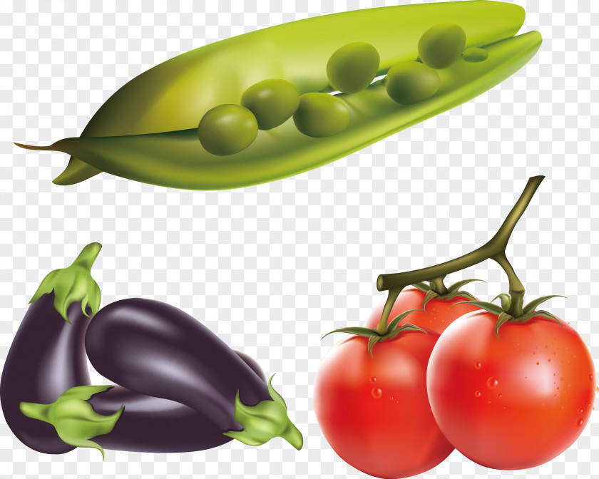 Fresh Vegetables Realistic Renderings Eggplant Tomato Clip Art PNG