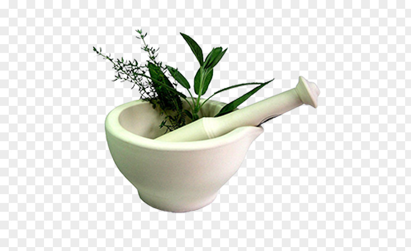 Plant Medical Abbreviations Medicine Medicinal Plants Herbalism PNG