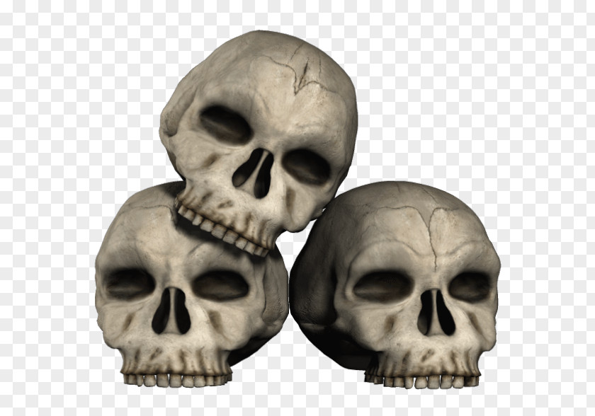 Three Skulls PNG Skulls, three grey human skulls clipart PNG