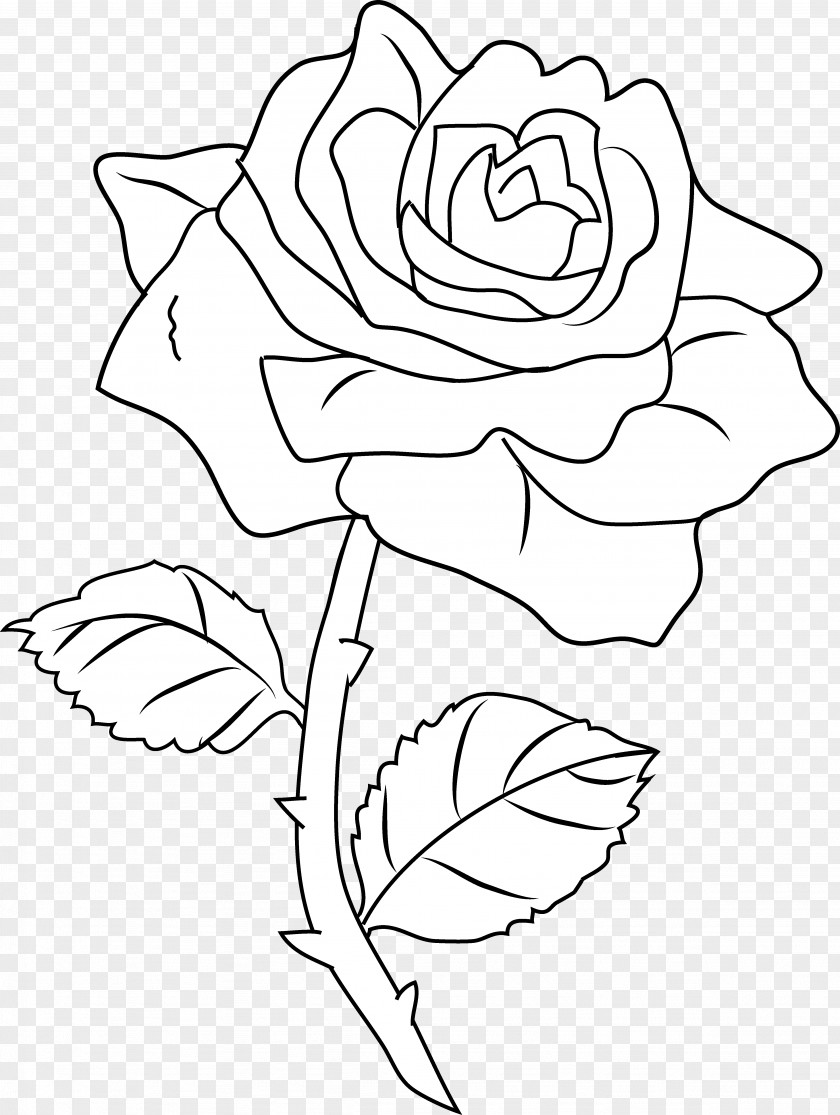 Black And White Roses Pictures Line Art Drawing Rose Coloring Book Clip PNG