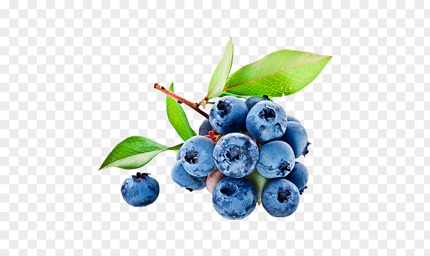 Blueberry Juice Bilberry Food Flavor PNG