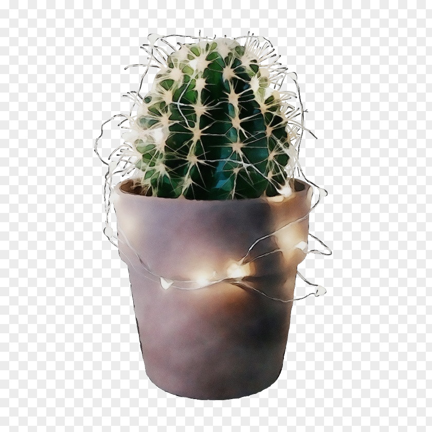 Cactus PNG